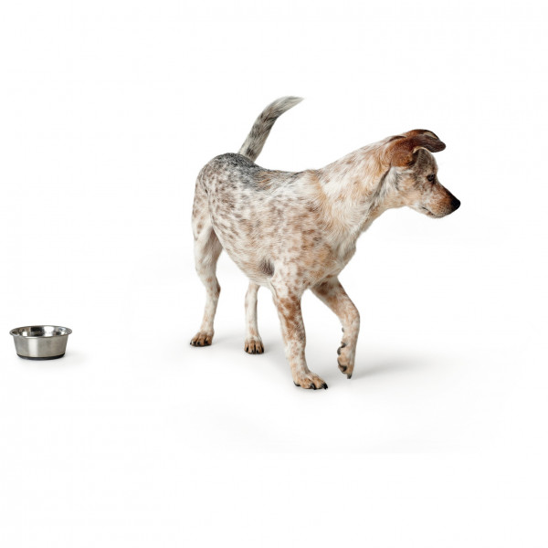 Hunter - Napf Edelstahl - Hundezubehör