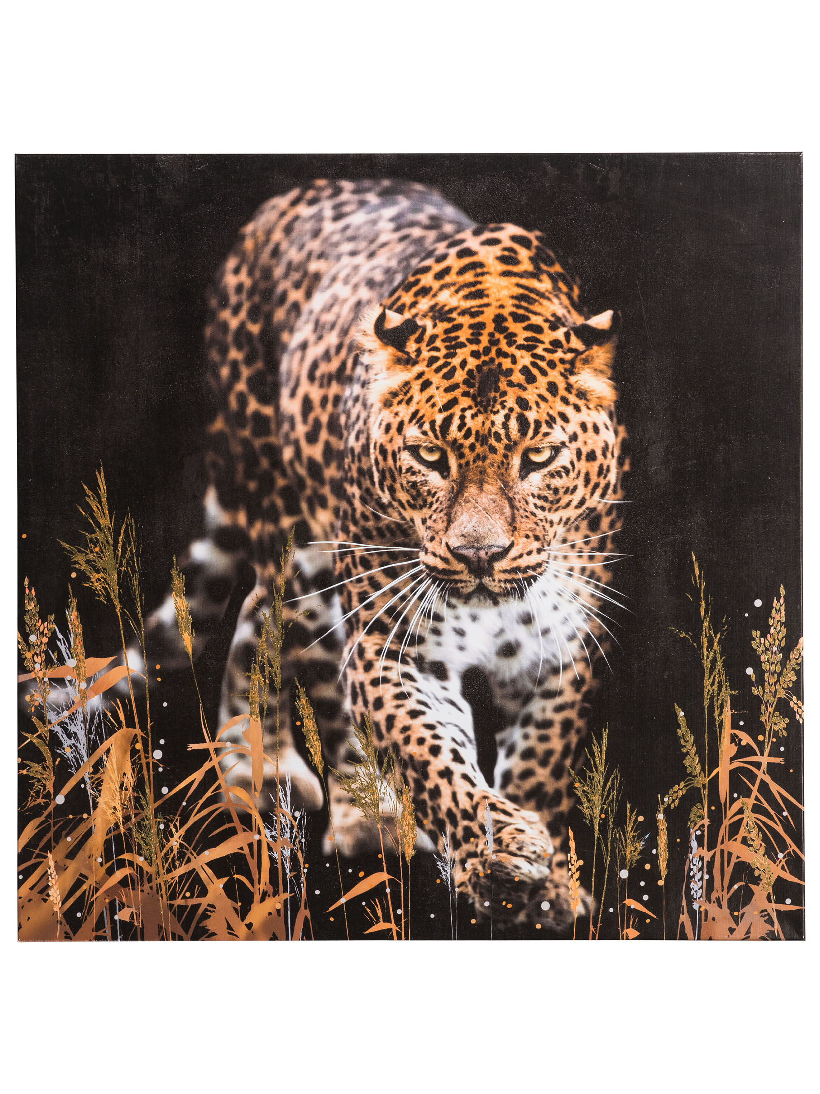 Leopard im Gras Leinwand Druck, Braun