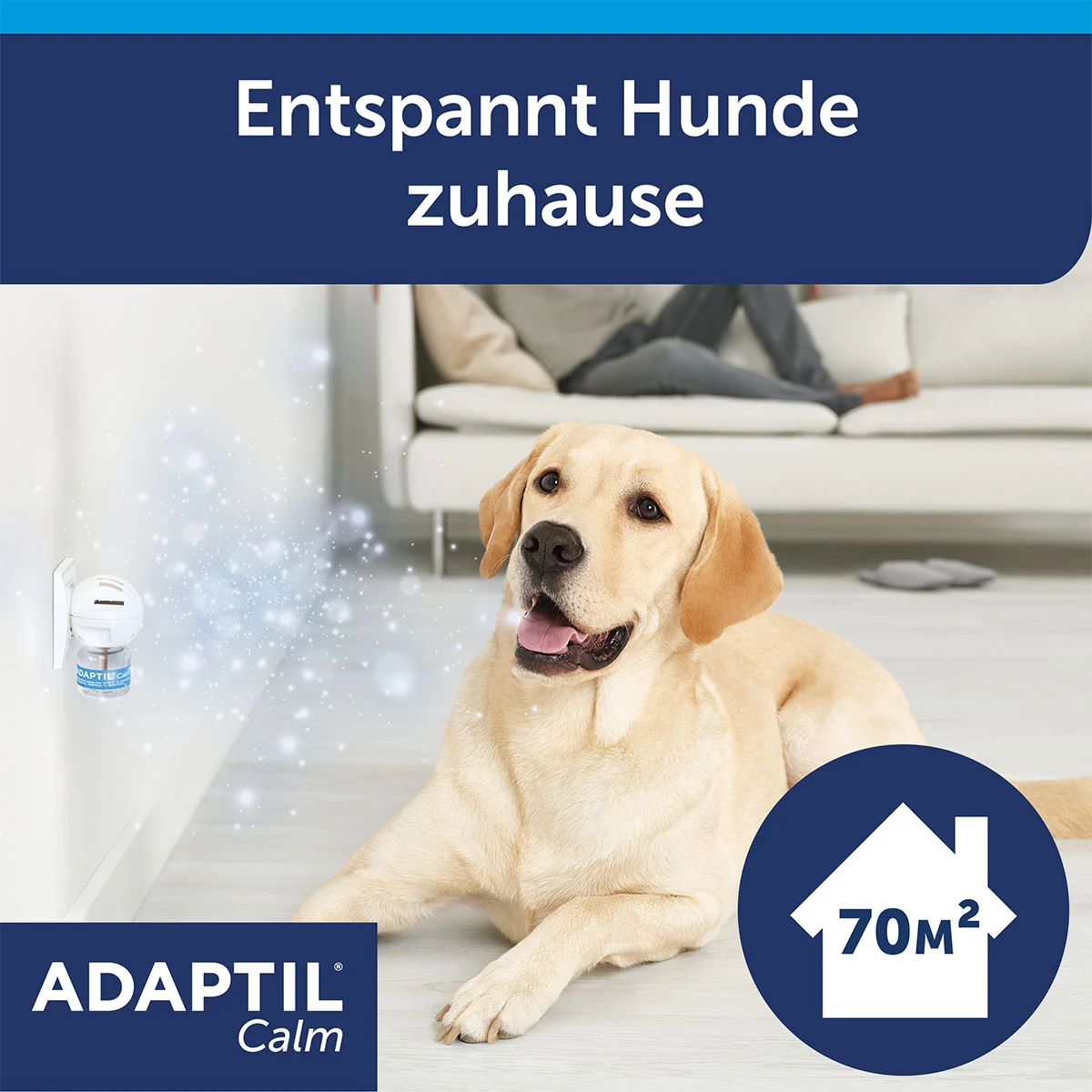Adaptil Verdampfer Happy Home Start-Set 48ml kaufen bei ZooRoyal
