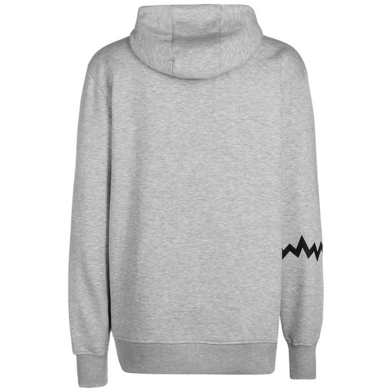 PUMA Hoops Team Hoodie Herren