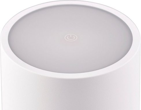 TRIO Leuchten LED Außen-Tischleuchte Fernandez, Dimmfunktion, USB-Ladefunktion, LED fest integriert, Farbwechsler, warmweiß - kaltweiß, Garten Akku Tischlampe USB Ladestation dimmbar Lichtfarbe einstellbar