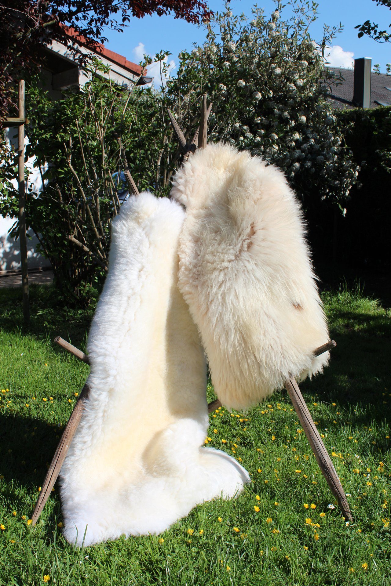 Fellteppich Schaffell weiß - ökologisch gegerbt - verschiedene Größen, Alpenfell GmbH, fellförmig, Höhe: 50 mm