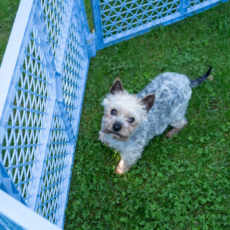 TIAKI Freilauf Playpen, 6-eckig zu TOP-Preisen