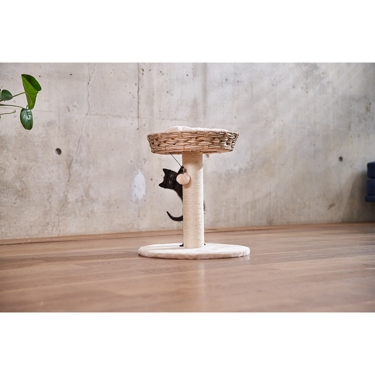 ZooRoyal Kratzbaum Karla 48,5 cm creme kaufen