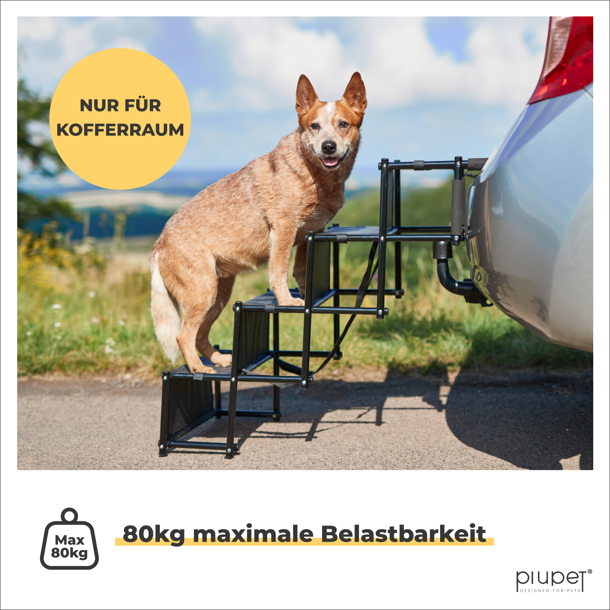 PIUPET Autozubehör PIUPET Hundetreppe