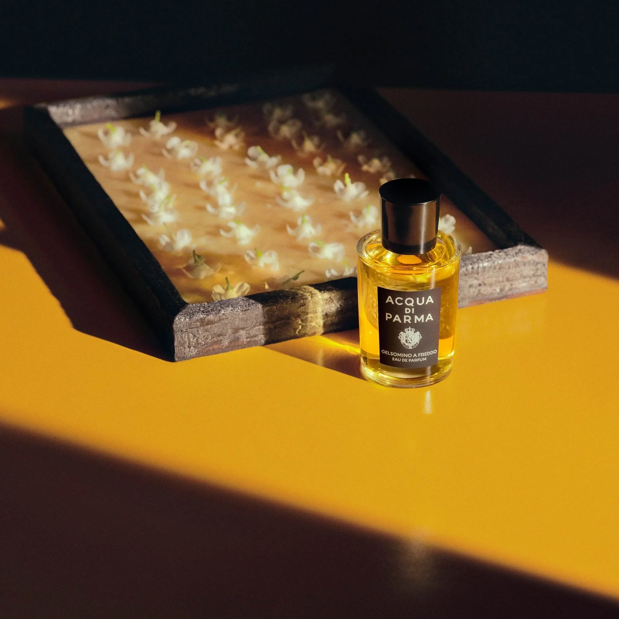 Signatures of the Sun Gelsomino a Freddo - Eau de Parfum Unisex, Eau de Parfum