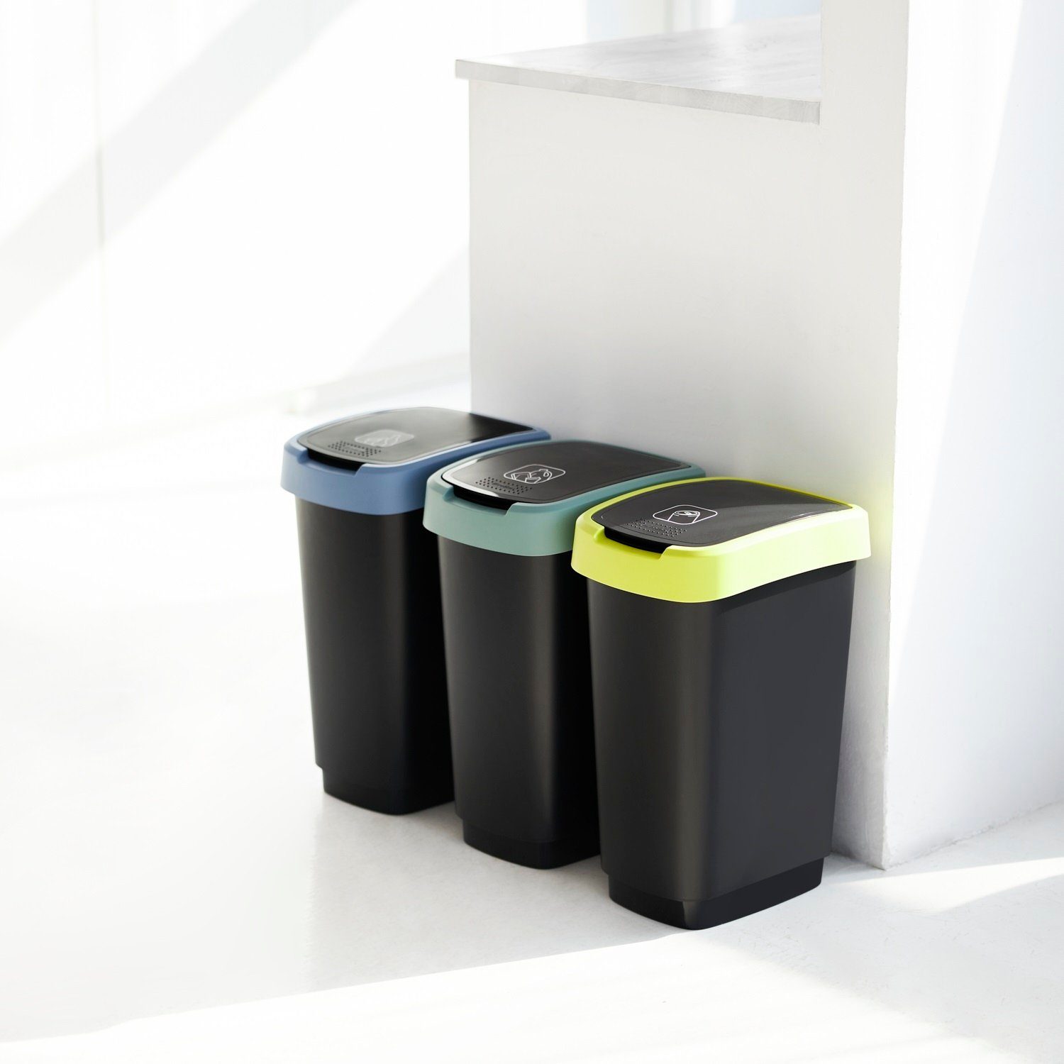 ROTHO Mülleimer Twist, Abfallbehälter Rotho Twist 50L Schwarz