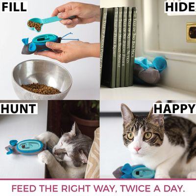 Smartpet Indoor Hunting Feeders