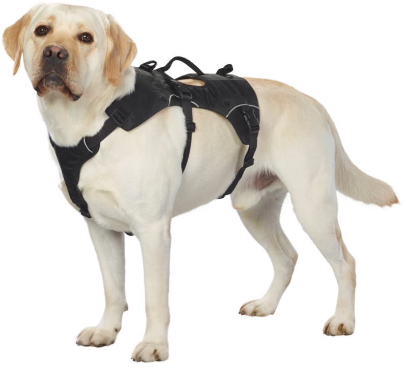 Dogs Creek Hundegeschirre Dogs Creek Geschirr + Rucksack Travel L