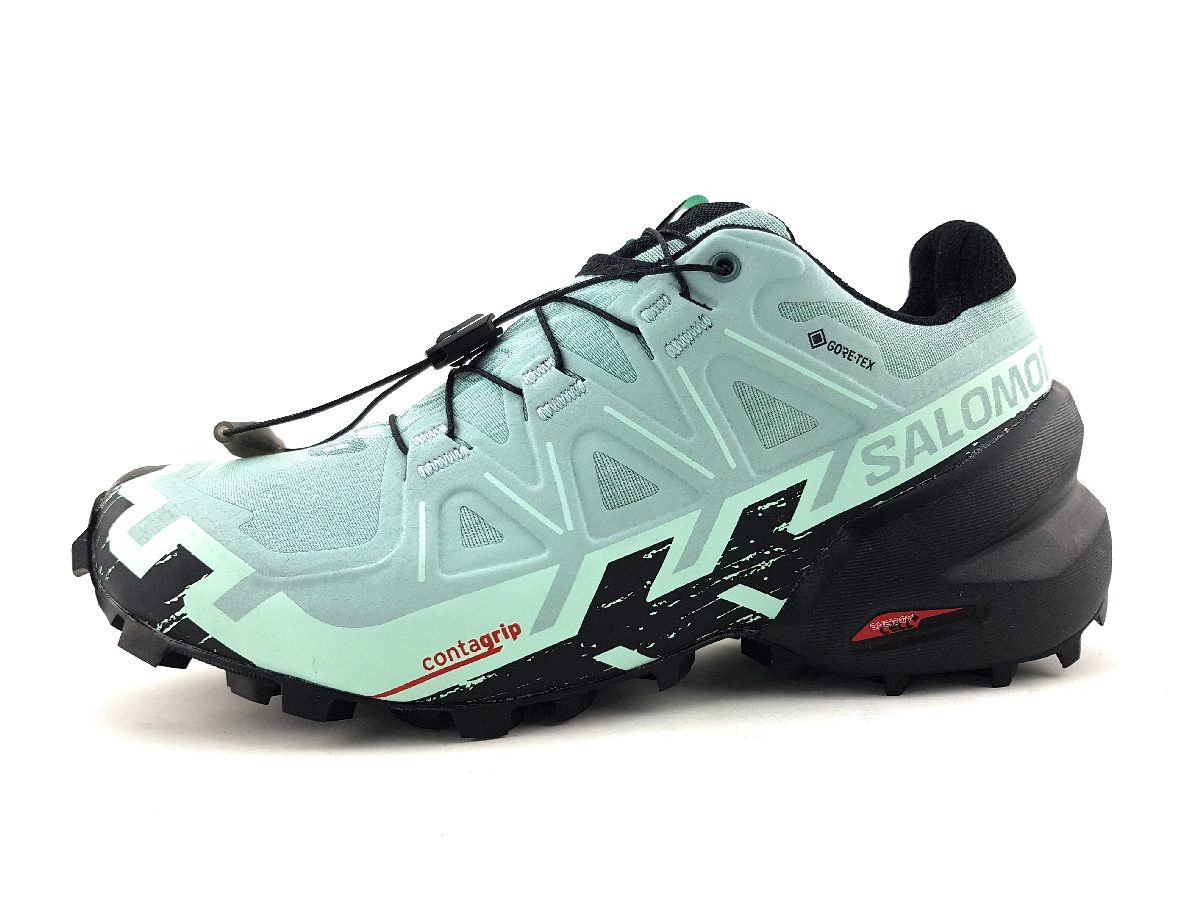 Salomon Speedcross 6 GTX L41743500 Grün Aqua/Black