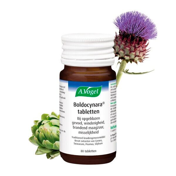 A.Vogel Boldocynara Tablets Medicine - 80 pieces