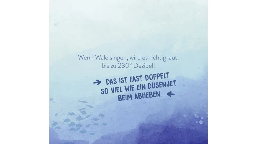 Wundervolles Meer