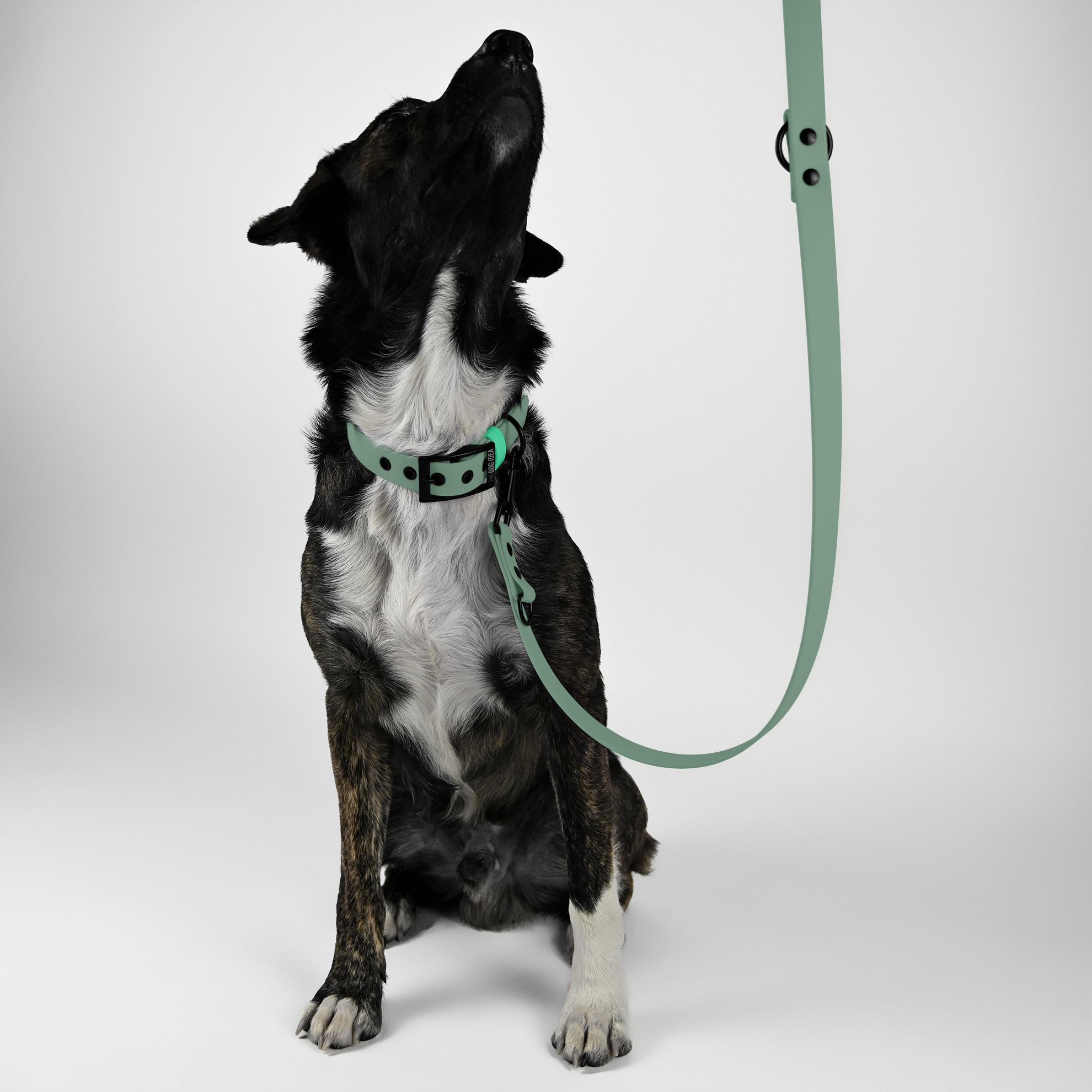 THE DOG IDEA Hundeleinen THE DOG IDEA Biothane Hundeleine Sage