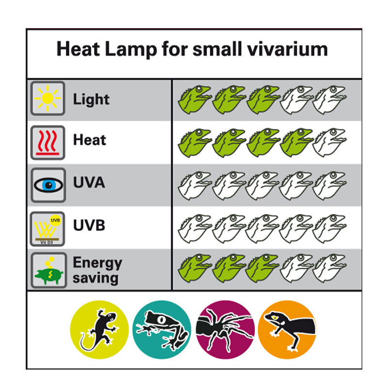 Lucky Reptile Beleuchtung Lucky Reptile Halogen Sun Mini 35 W