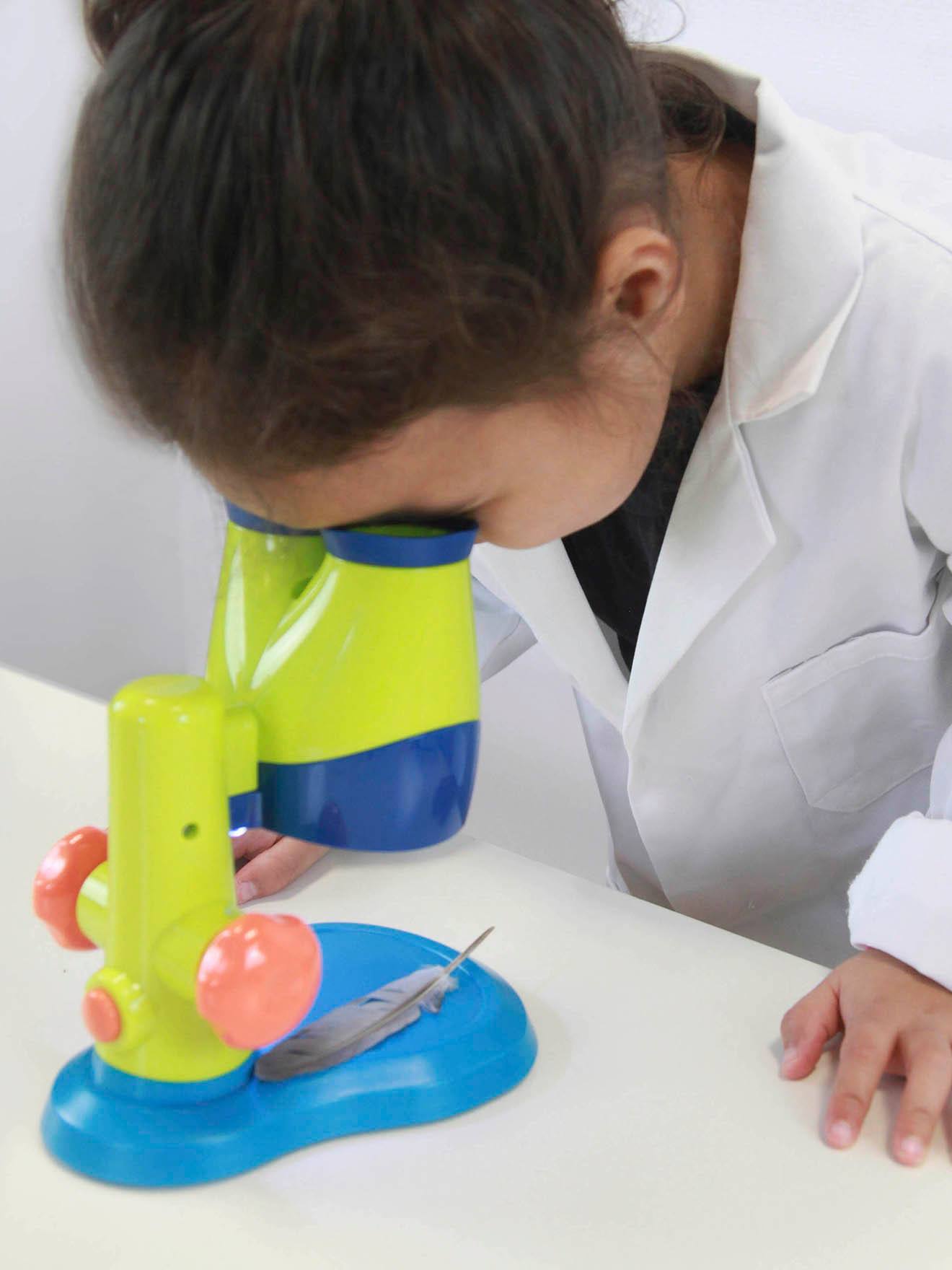 Mini Sciences