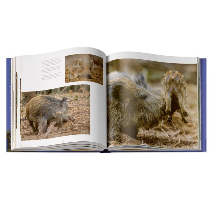 Kosmos Buch: Passion für Jagd und Wildtiere in Europa