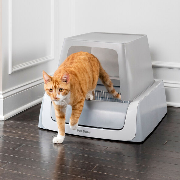 Selbstreinigende Katzentoilette ScoopFree mit Haube