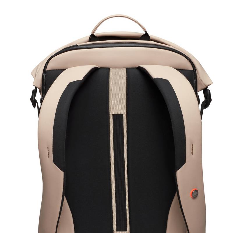 Mammut Seon Courier 20 Wanderrucksack