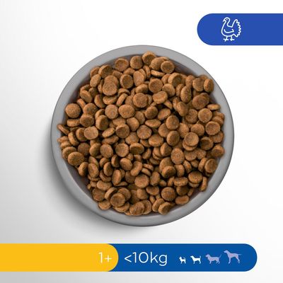 Perfect Fit Sensitive Adult Dog (<10kg) mit Truthahn