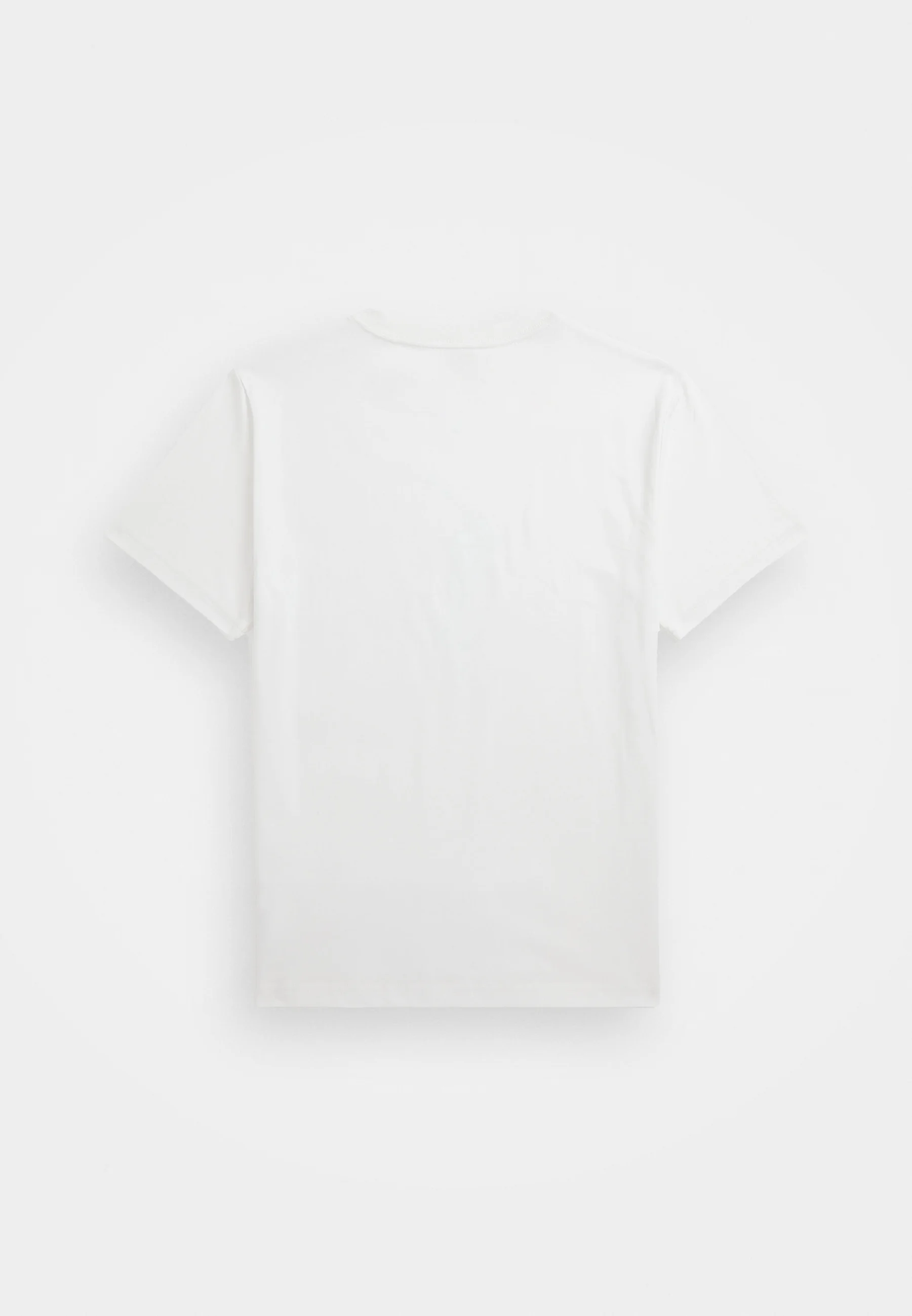 Camiseta Polo Ralph Lauren con estampado