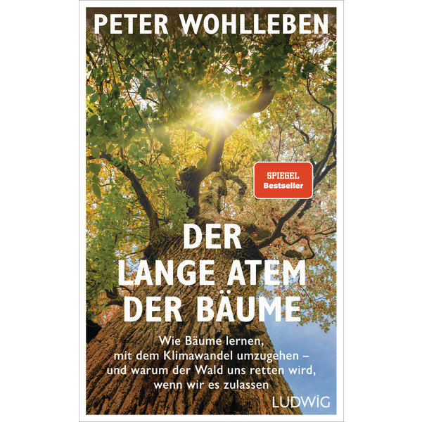 DER LANGE ATEM DER BÄUME - Sachbuch