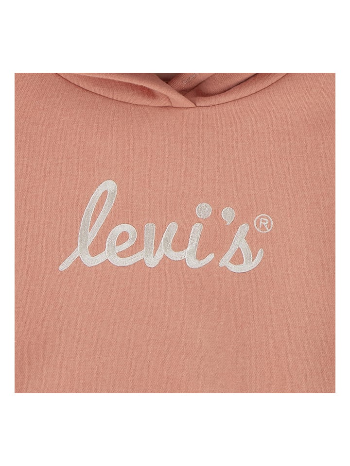 Levi's Kids Hoodie in Rosa günstig kaufen