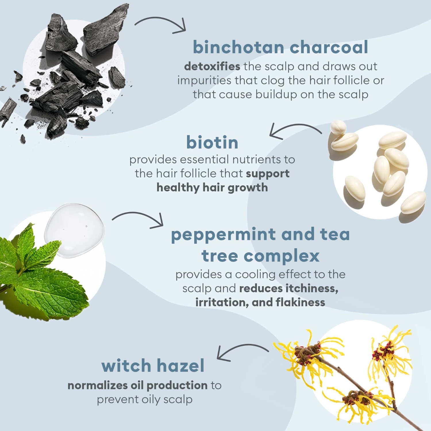Charcoal + Tea Tree Scalp Treatment