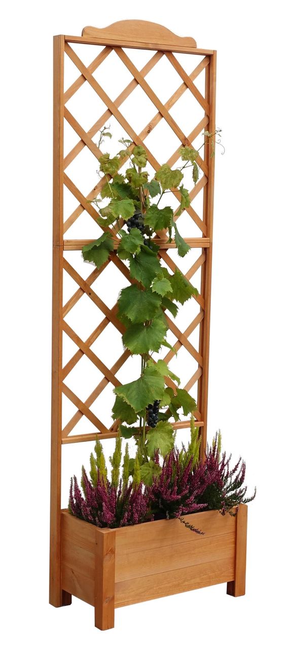 PROMEX Promadino Rankkasten Botanica 69x210 cm