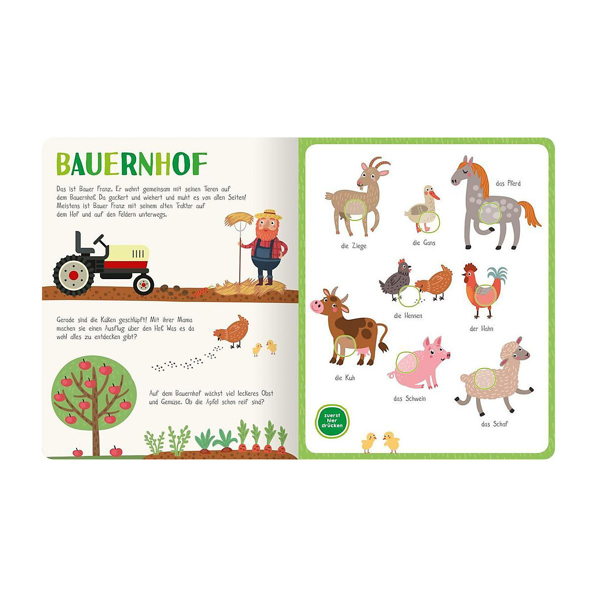 Mein kunterbuntes Soundbuch: Tiere, mit Soundeffekten