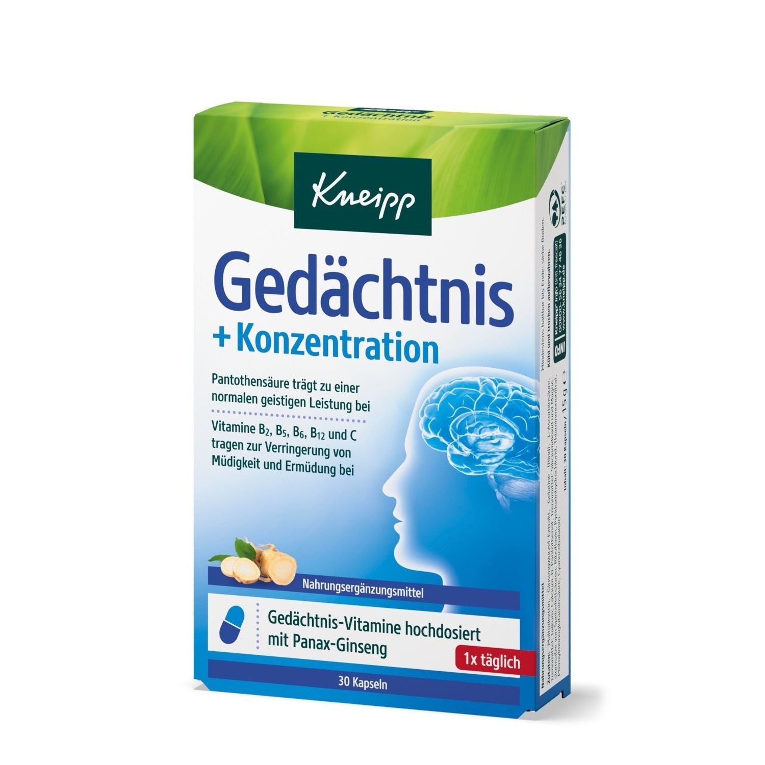 Gedächtnis + Konzentration