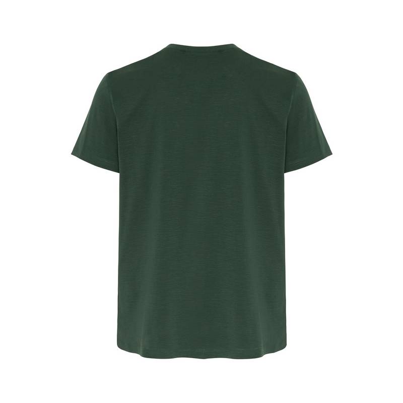 Chiemsee T-Shirt T-Shirt Herren