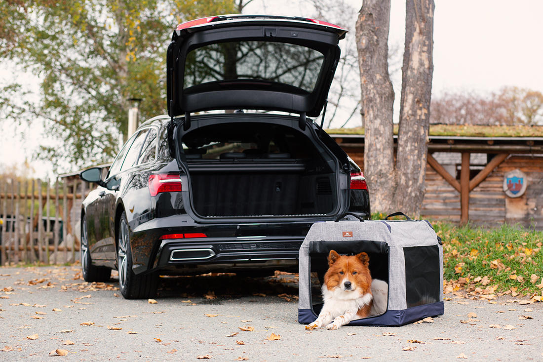 Knuffelwuff Transportboxen & Gitterboxen Knuffelwuff faltbare Hundebox Transportbox Denali mit Aluminiumgestell L