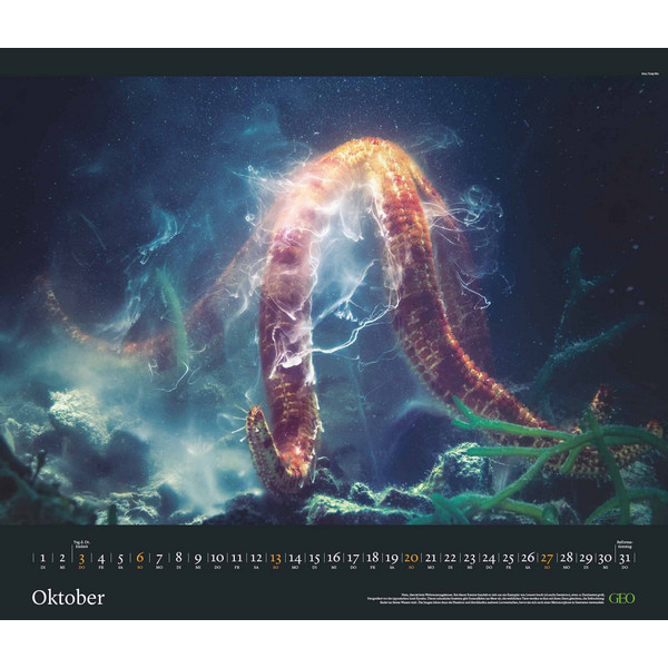 GEO EDITION: TIERWELTEN 2024 - WAND-KALENDER - TIER-KALENDER - Kalender