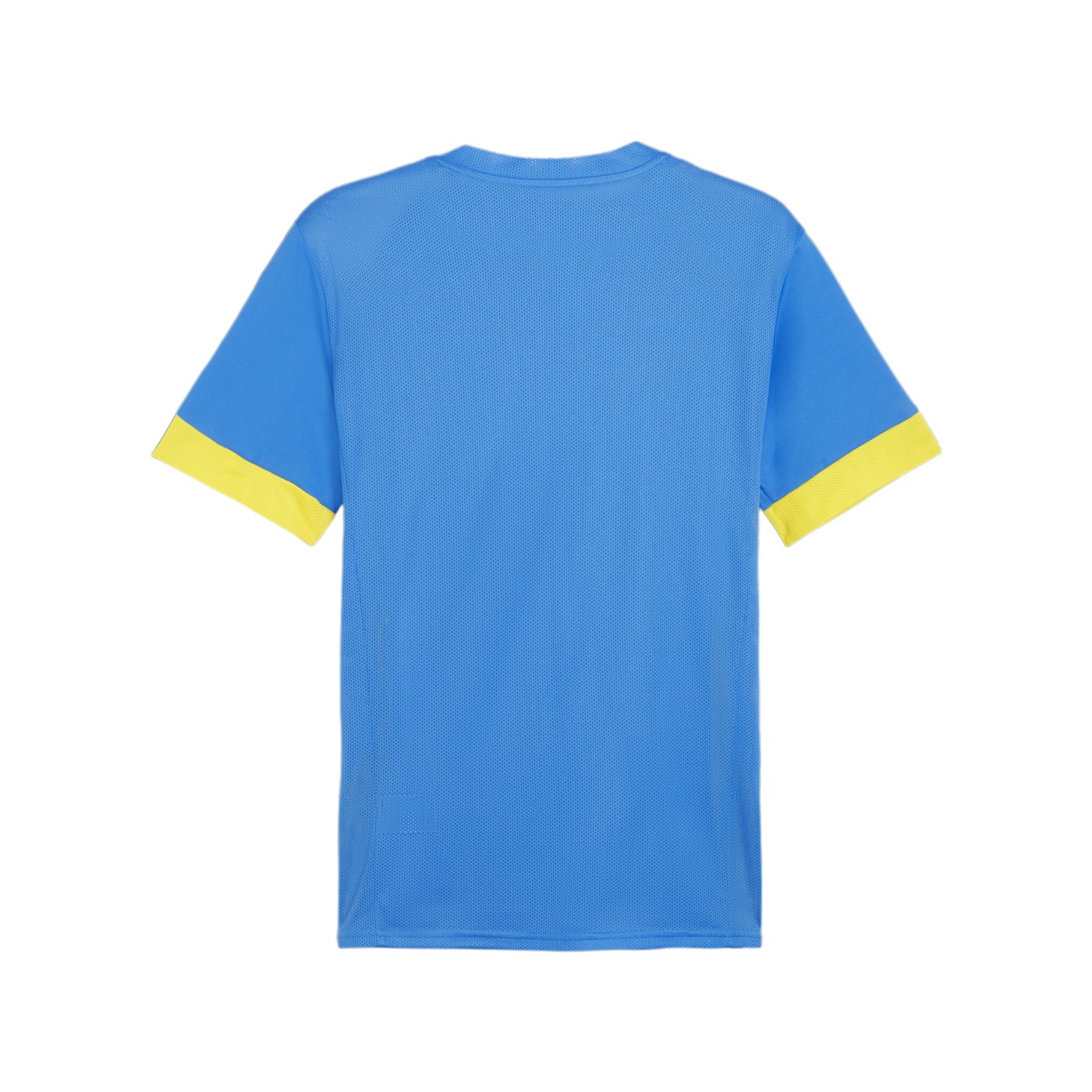 PUMA teamGOAL Matchday Trikot Blau Gelb F16