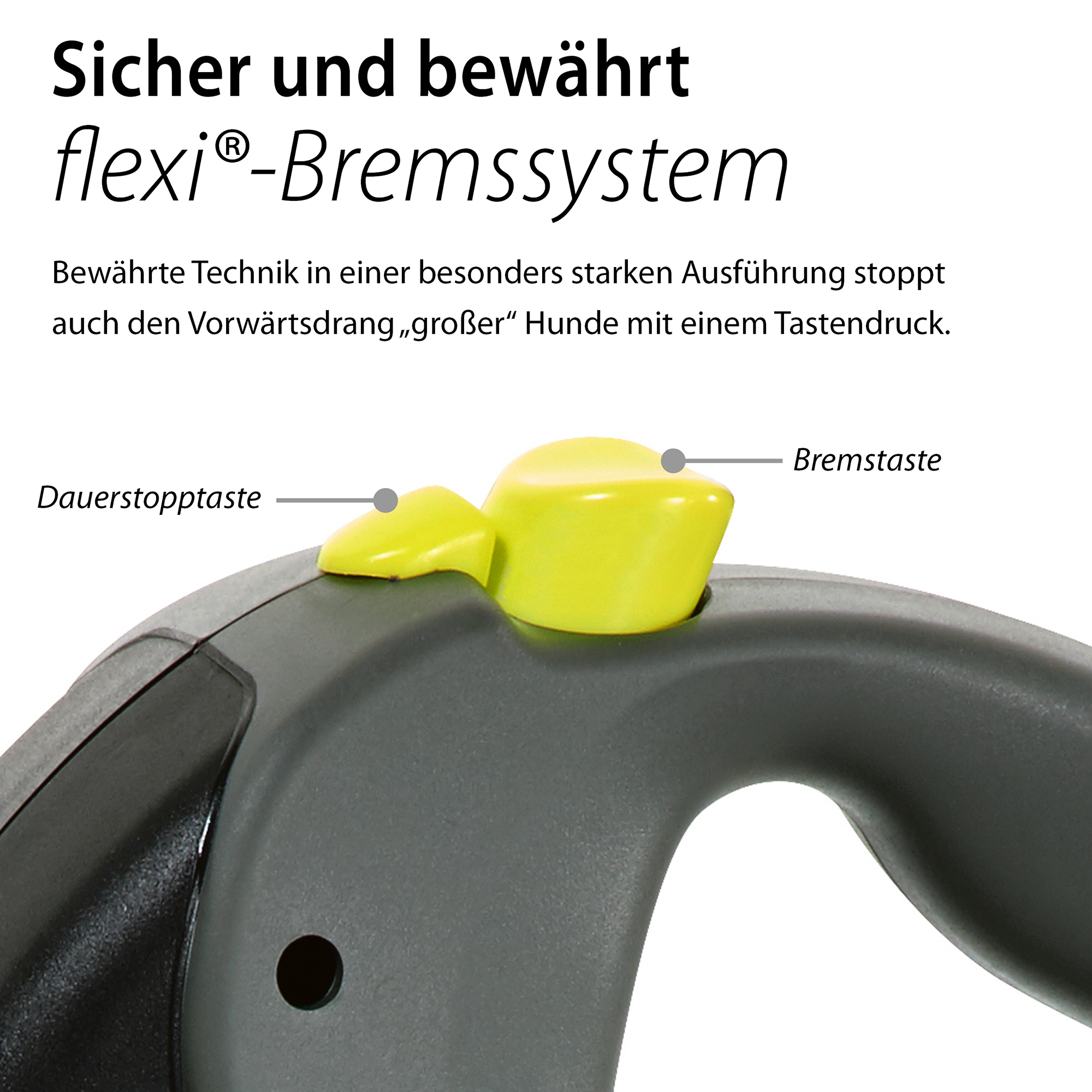 Flexi Hundeleinen Flexi Trixie GIANT PROFESSIONAL Gurt