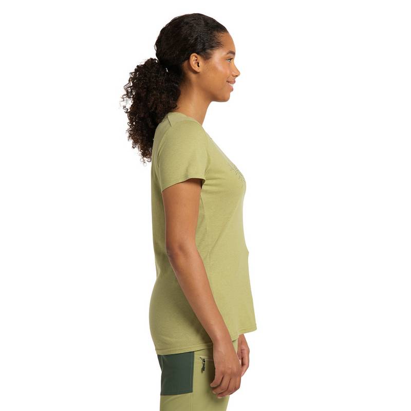 Haglöfs Träd Tee Print Funktionsshirt Damen