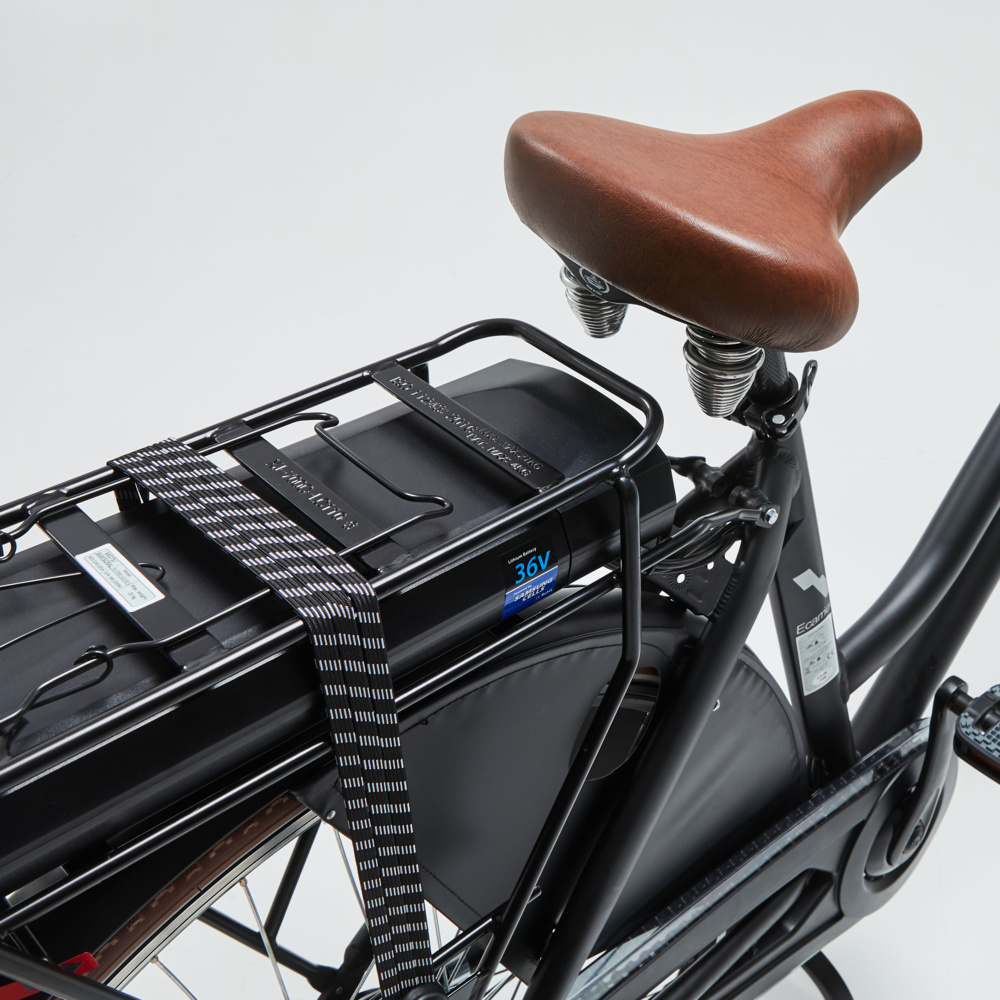 E-Bike E-Carrier Lady Nexus 7 von Wayscral, schwarz - ATU