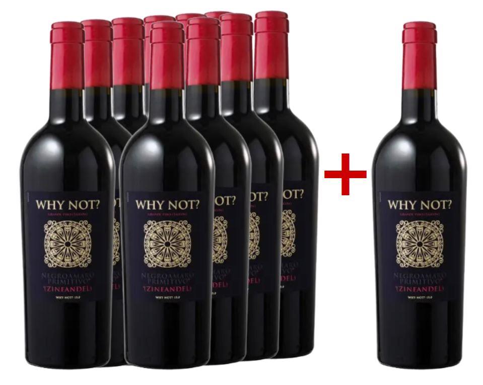 2020 Why Not? Negroamaro - Zinfandel im Vorteilspaket