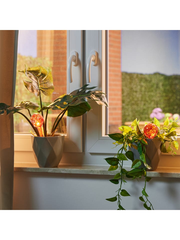 relaxdays 4 x Bewässerungskugel in Rot - (H)15 x Ø 6 cm günstig kaufen onesize