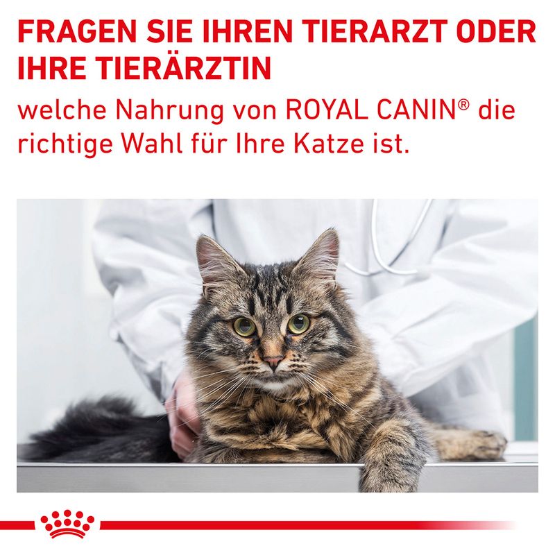 Royal Canin Expert Feline Gastrointestinal Fibre Response | bitiba