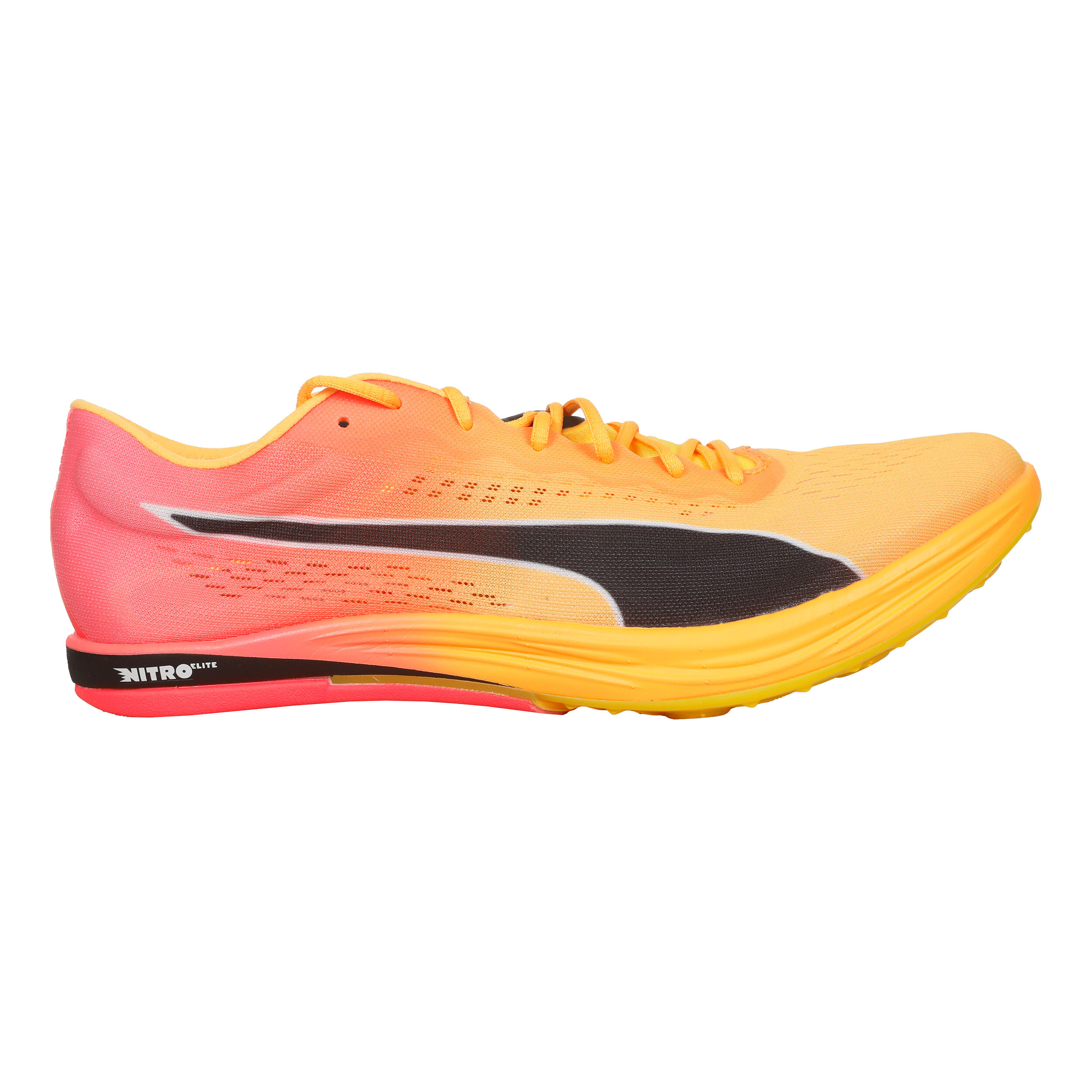 EvoSPEED Long Distance Nitro Elite+ Spikeschuh Herren - Orange, Pink