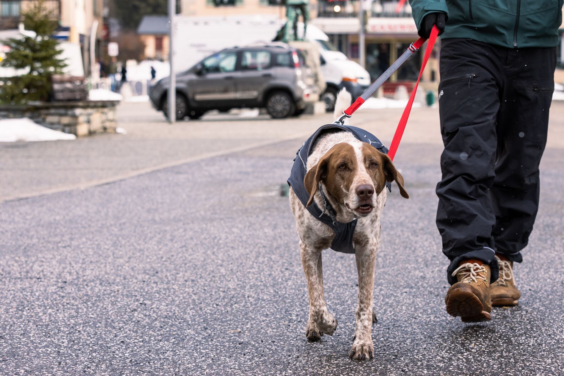 Ruffwear Hundeleinen Ruffwear Switchbak™ Leine rot