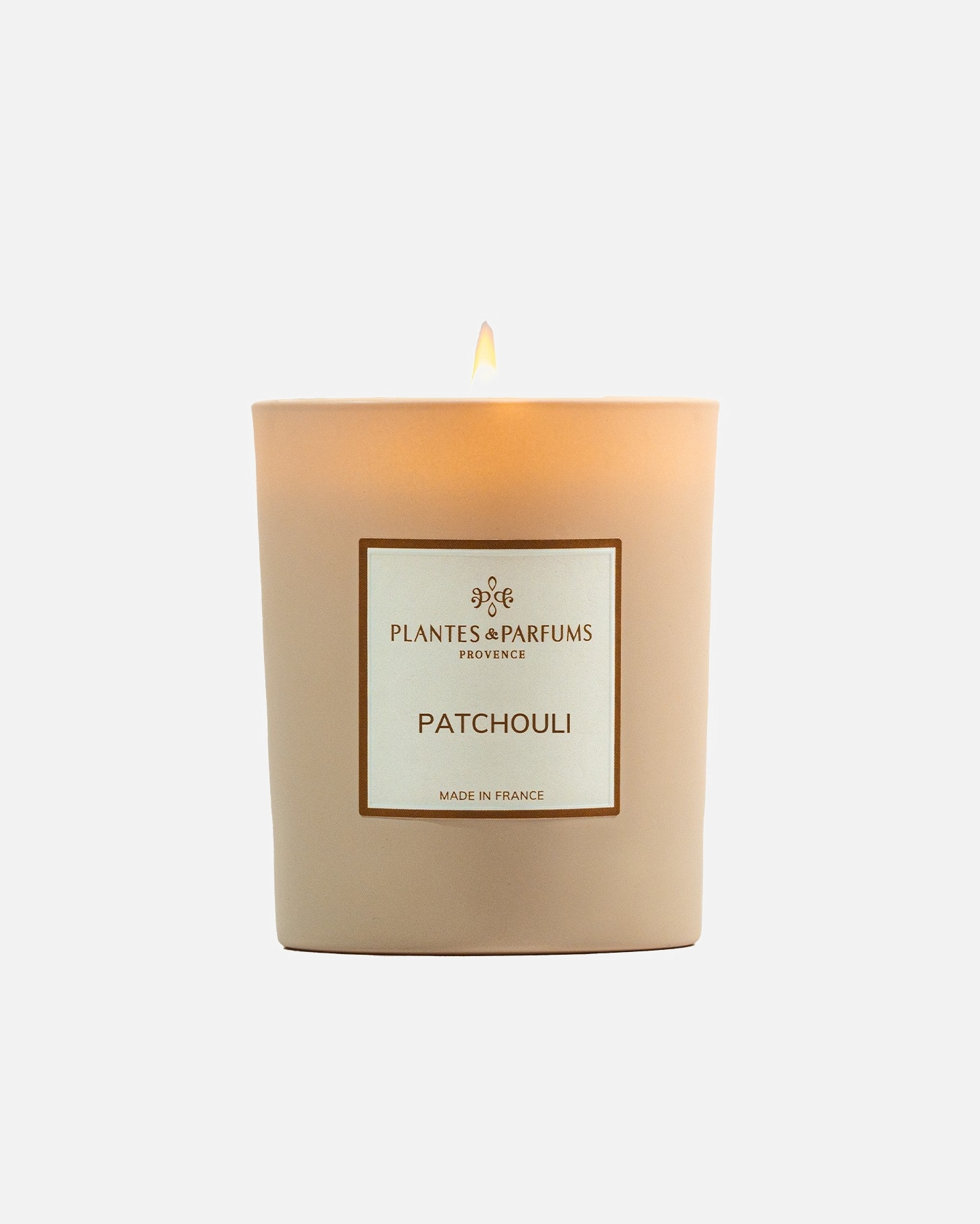 Plantas de pachulí y perfumes