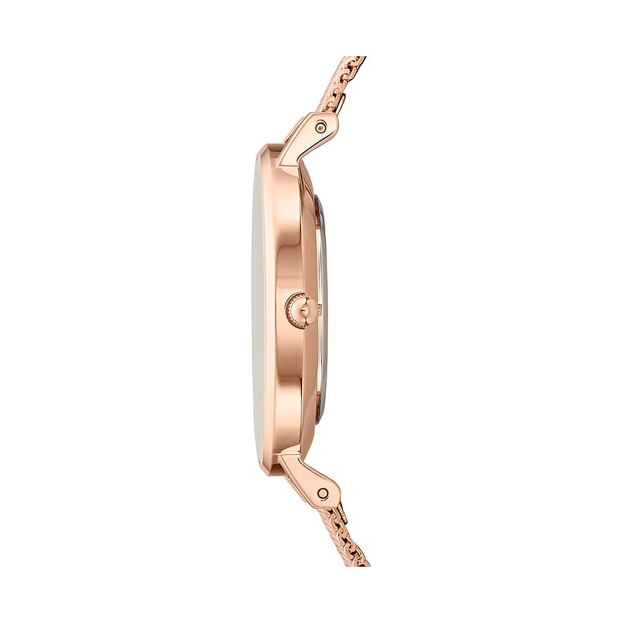 Daniel Wellington Damenuhr Classic Petite