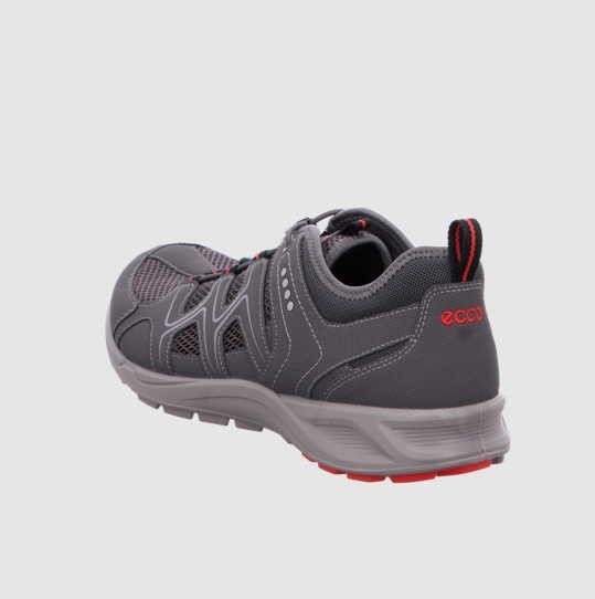 ECCO Sneaker grau Terracruise