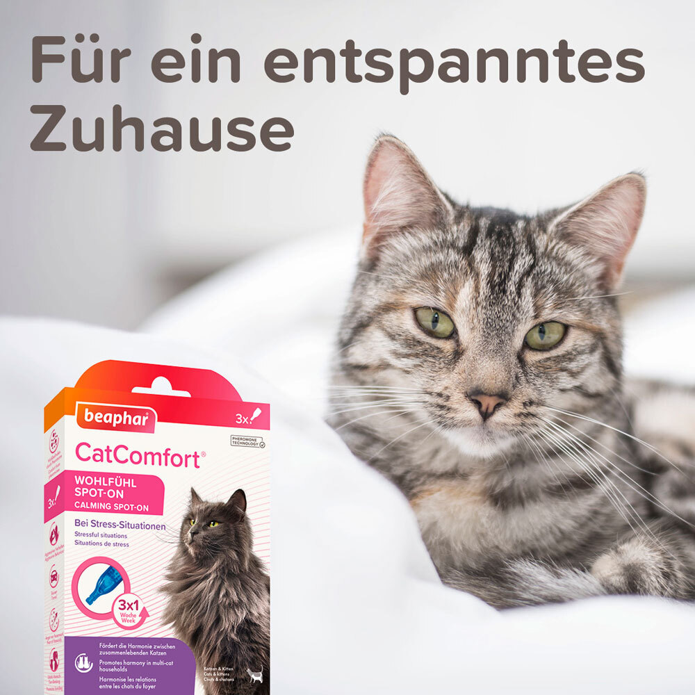Beaphar Beruhigungsmittel Beaphar CatComfort Wohlfühl Spot-On 3x055 ml