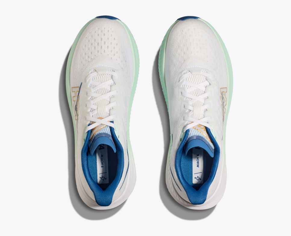 Mach 6 Frost / Gold
