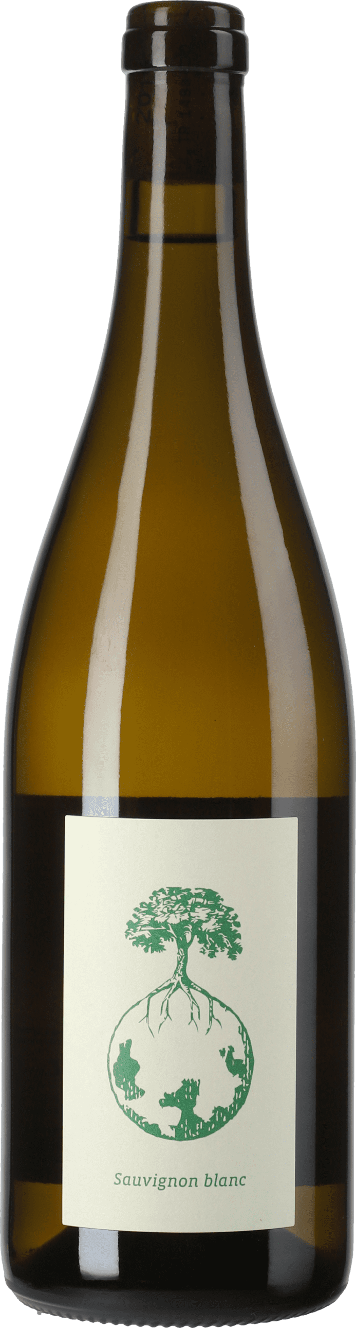 Werlitsch: Sauvignon Blanc vom Opok 2021