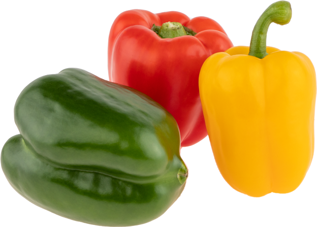 Paprika Mix bunt