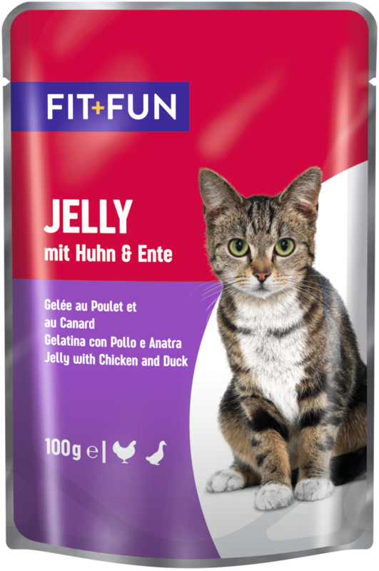 FIT+FUN Nassfutter FIT+FUN Jelly Multipack XXL 44x100g
